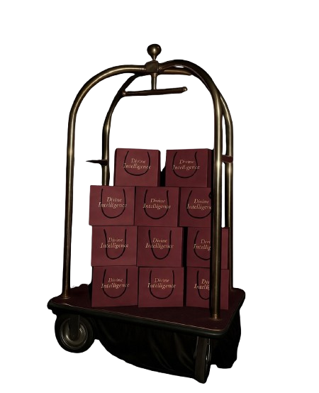 Divine Intelligence luggage cart